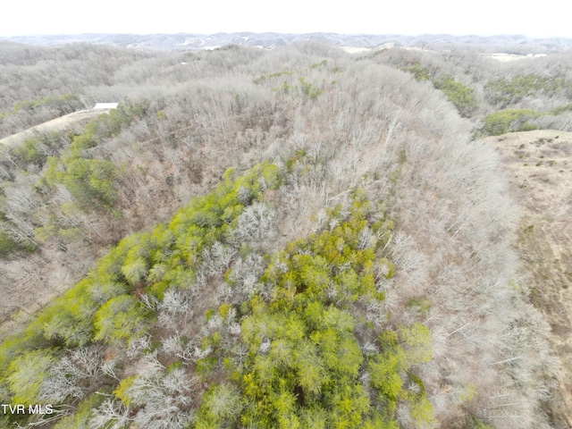 0000 Looney Rd, Off, Parrottsville, TN 37843 - photo 31