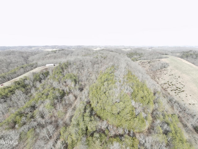 0000 Looney Rd, Off, Parrottsville, TN 37843 - photo 32