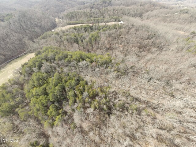 0000 Looney Rd, Off, Parrottsville, TN 37843 - photo 33