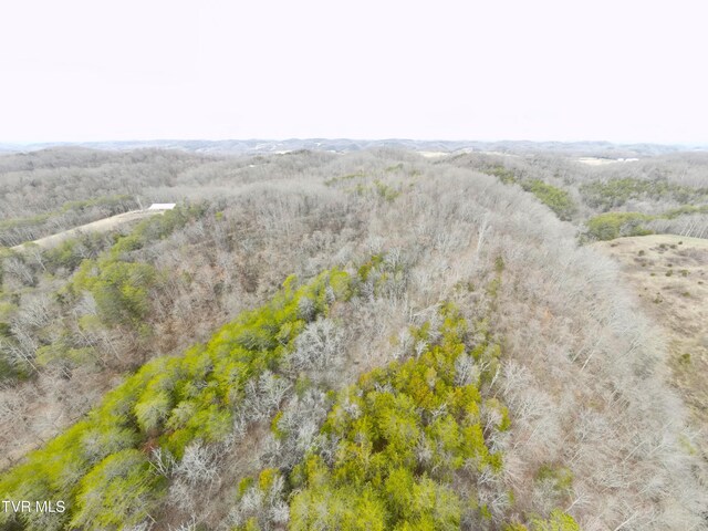 0000 Looney Rd, Off, Parrottsville, TN 37843 - photo 35
