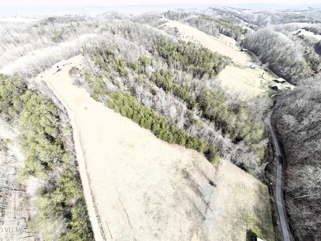0000 Looney Rd, Off, Parrottsville, TN 37843 - photo 36