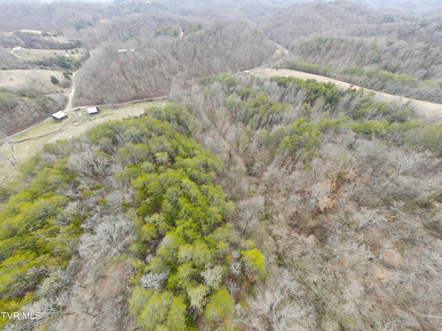 0000 Looney Rd, Off, Parrottsville, TN 37843 - photo 38