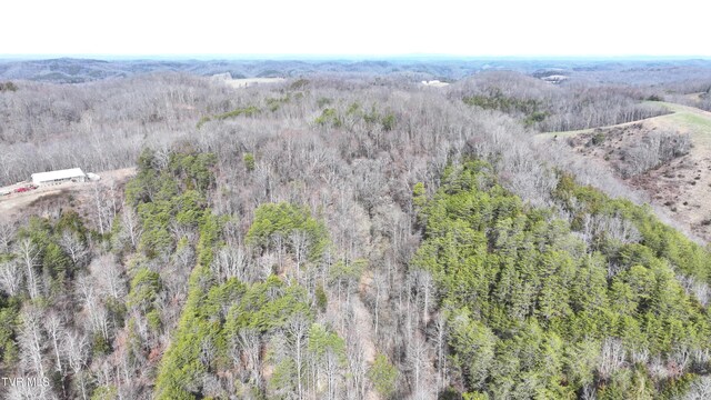 0000 Looney Rd, Off, Parrottsville, TN 37843 - photo 39