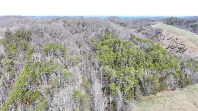 0000 Looney Rd, Off, Parrottsville, TN 37843 - photo 40