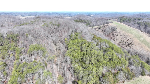0000 Looney Rd, Off, Parrottsville, TN 37843 - photo 41