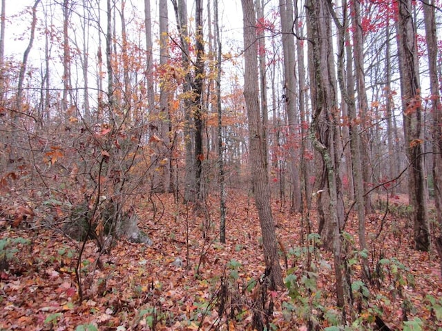 LOT9 Kesner Ln, Abingdon VA, 24210 land for sale