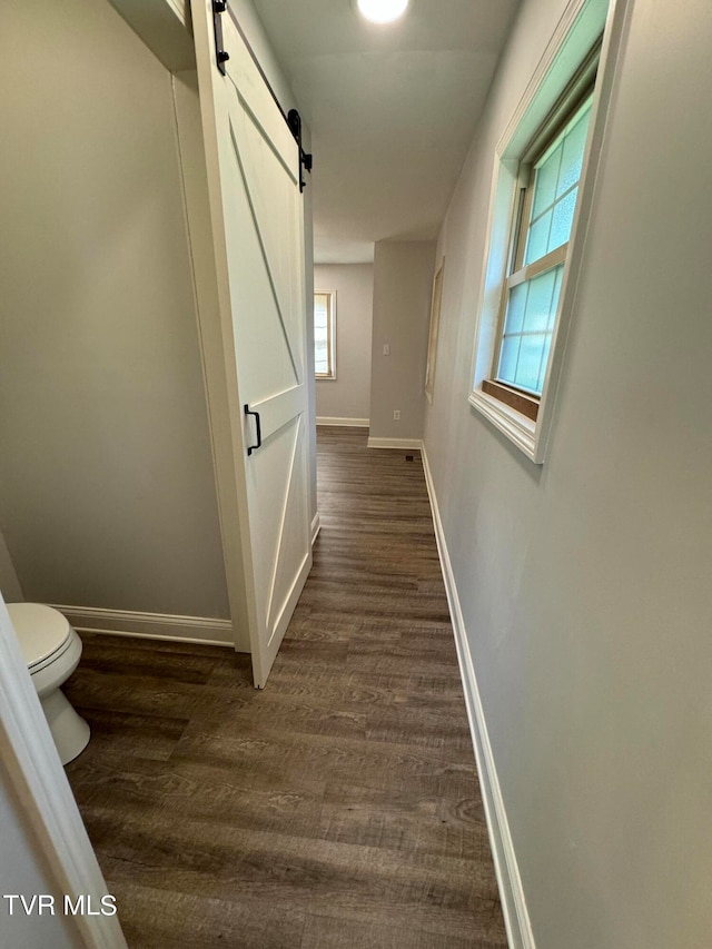 hall with a barn door and dark hardwood / wood-style floors