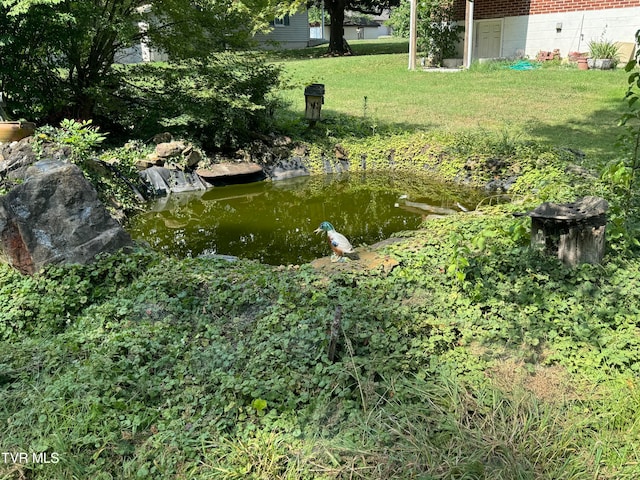 view of yard featuring a garden pond