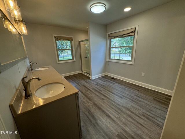 bathroom featuring vanity, a shower with door, a wealth of natural light, and hardwood / wood-style flooring