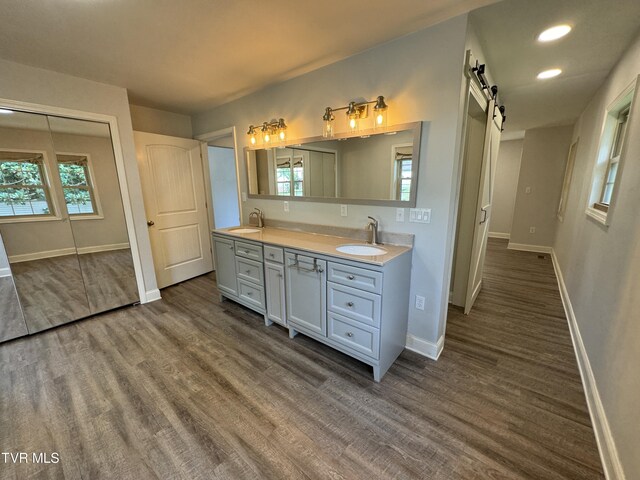 bathroom featuring vanity and wood-type flooring