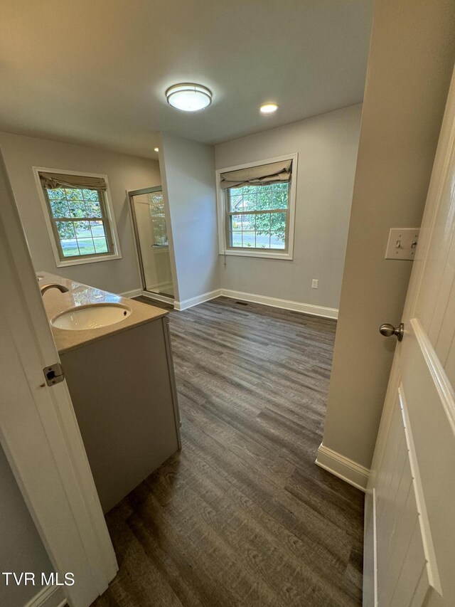 bathroom with hardwood / wood-style floors and vanity