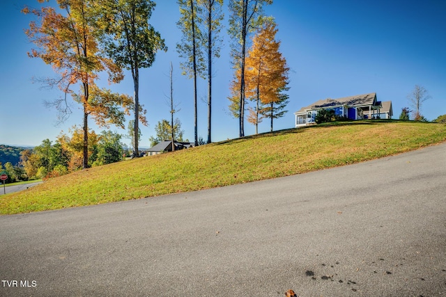 1270 Ridgetop Trl, Kingsport, TN 37664 - photo 7