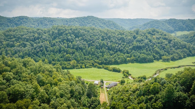 aerial view featuring a mountain view