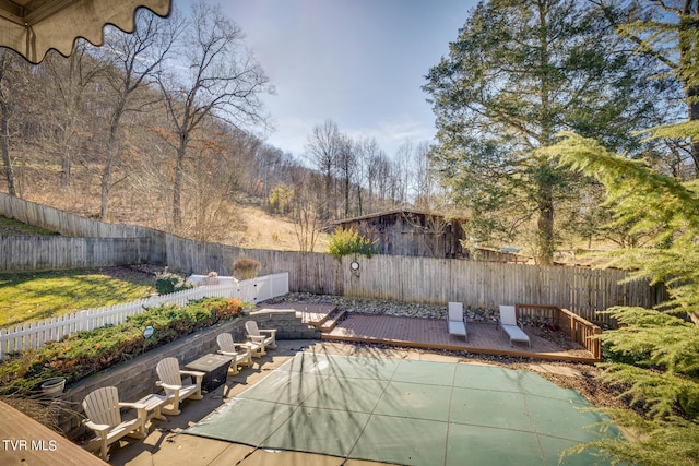 view of swimming pool featuring a patio area