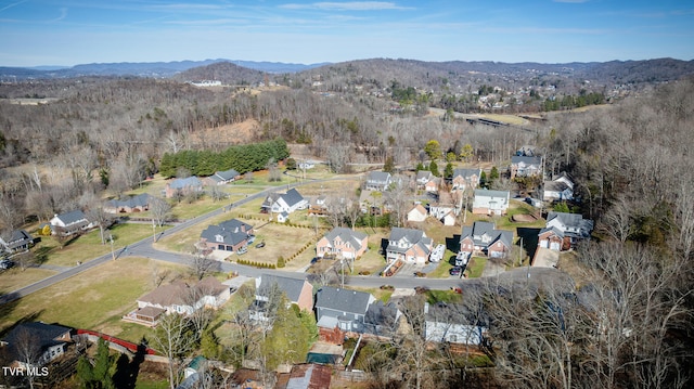 birds eye view of property with a mountain view