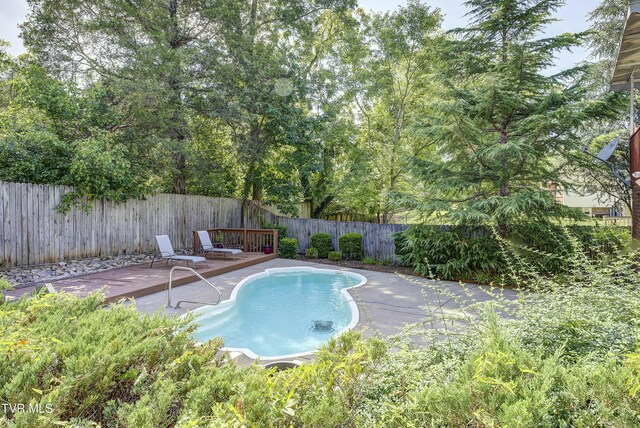 view of pool featuring a patio area