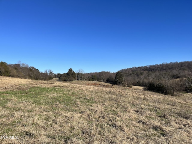 TBDLOT1 Old Asheville Hwy, Greeneville TN, 37743 land for sale