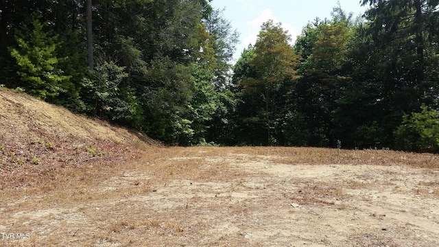 TBD Heartwood Ln, Butler TN, 37640 land for sale