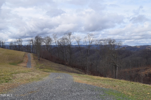 Listing photo 2 for 27.33AC Big Springs Rd, Eidson TN 37731