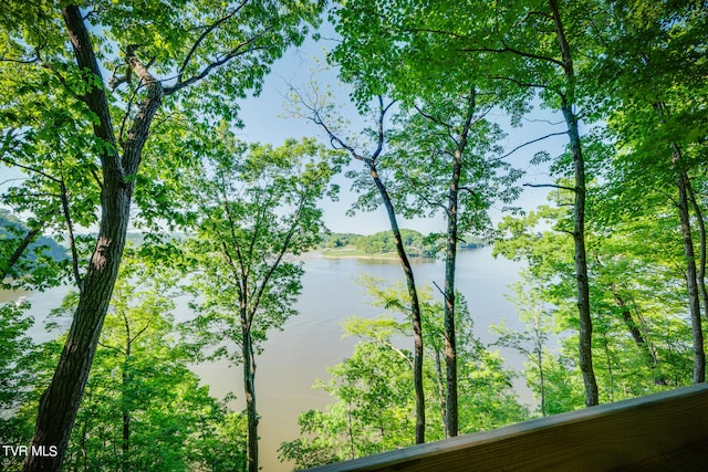117 Lakeside Dr, Gray, TN 37615 - view of water feature