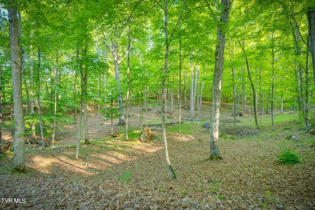 117 Lakeside Dr, Gray, TN 37615 - view of landscape