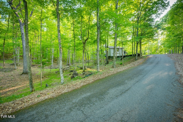 117 Lakeside Dr, Gray, TN 37615 - view of road