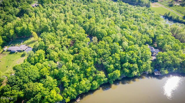 117 Lakeside Dr, Gray, TN 37615 - bird's eye view featuring a water view