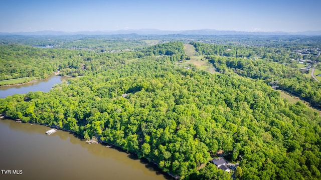 117 Lakeside Dr, Gray, TN 37615 - aerial view with a water and mountain view