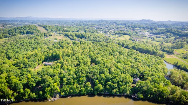 117 Lakeside Dr, Gray, TN 37615 - drone / aerial view with a water and mountain view
