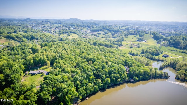 117 Lakeside Dr, Gray, TN 37615 - bird's eye view featuring a water view