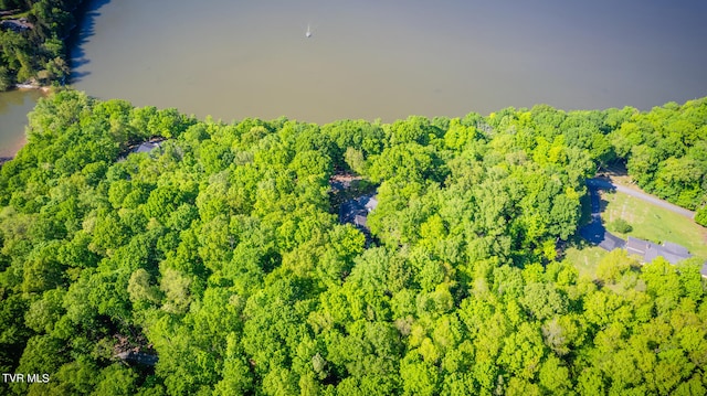 117 Lakeside Dr, Gray, TN 37615 - bird's eye view featuring a water view