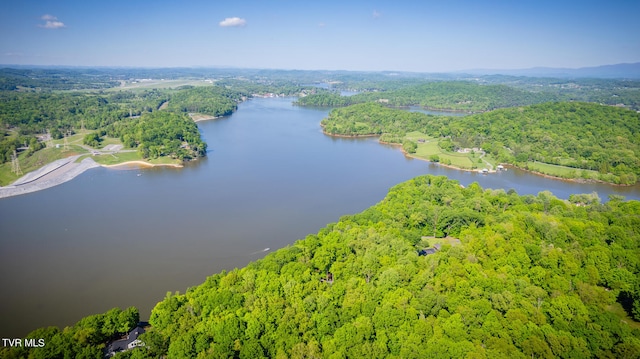117 Lakeside Dr, Gray, TN 37615 - drone / aerial view with a water view