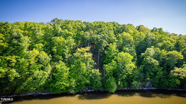 117 Lakeside Dr, Gray, TN 37615 - aerial view with a water view