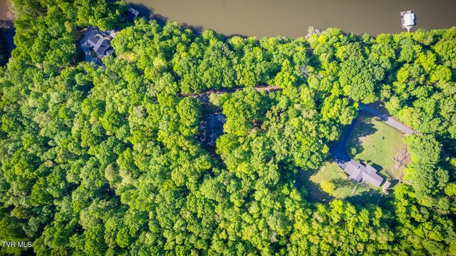 117 Lakeside Dr, Gray, TN 37615 - aerial view