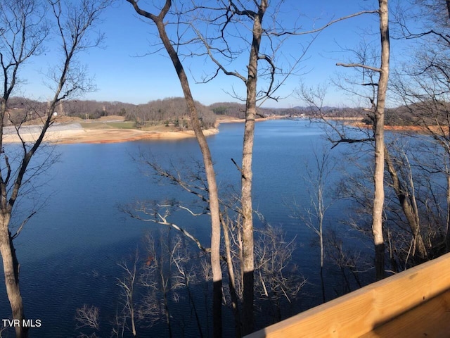 117 Lakeside Dr, Gray, TN 37615 - property view of water