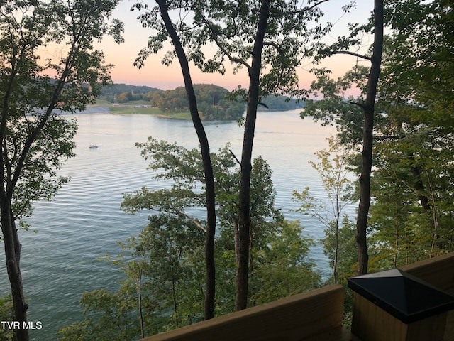 117 Lakeside Dr, Gray, TN 37615 - water view