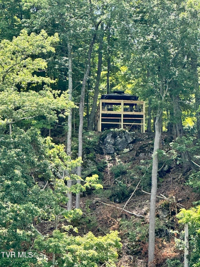117 Lakeside Dr, Gray, TN 37615 - view of outdoor structure