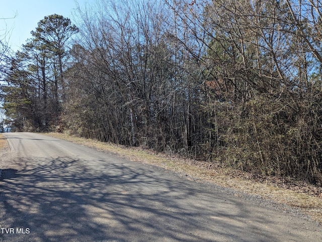 Listing photo 3 for LOT22A W Dr, Parrottsville TN 37843