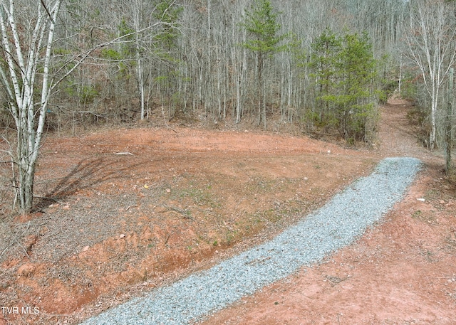 Listing photo 3 for 000 Speedwell Church Rd, Bulls Gap TN 37711