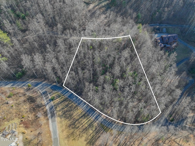 Listing photo 2 for 18 Horseshoe Cove Dr, Butler TN 37640