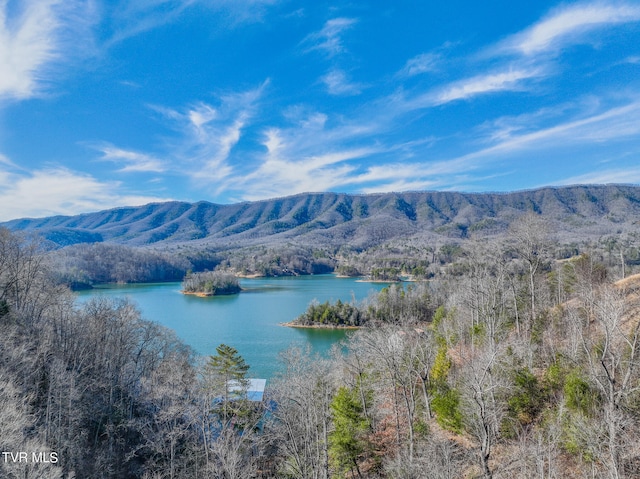 18 Horseshoe Cove Dr, Butler TN, 37640 land for sale