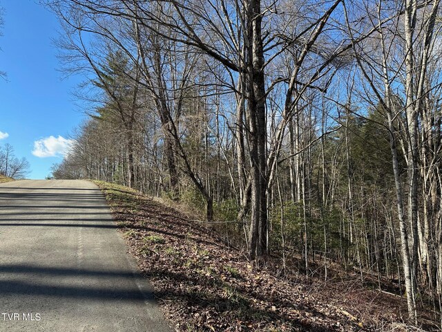 TBD00 Laurelwood Dr, Mountain City, TN 37683 - photo 4