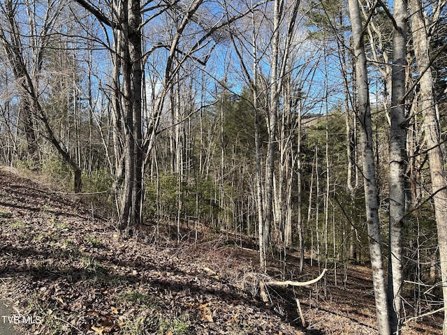 TBD00 Laurelwood Dr, Mountain City, TN 37683 - photo 5