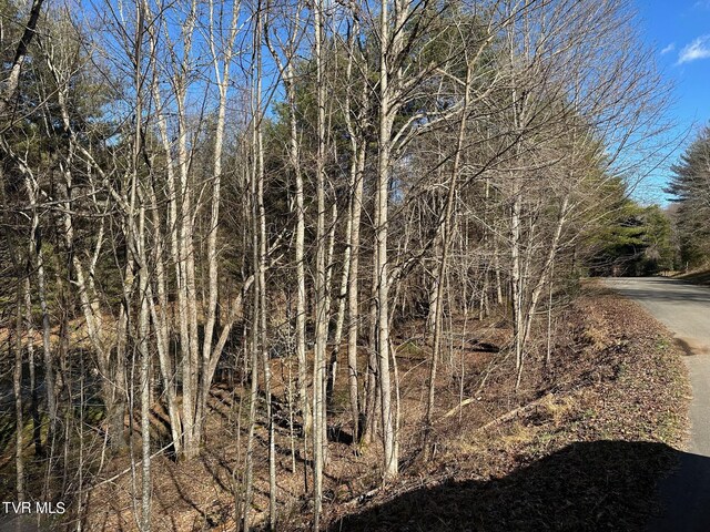 TBD00 Laurelwood Dr, Mountain City, TN 37683 - photo 8