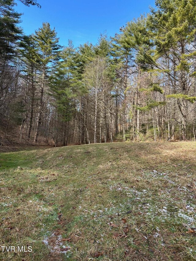TBD00 Laurelwood Dr, Mountain City, TN 37683 - photo 11