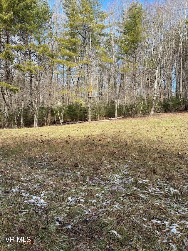 TBD00 Laurelwood Dr, Mountain City, TN 37683 - photo 12