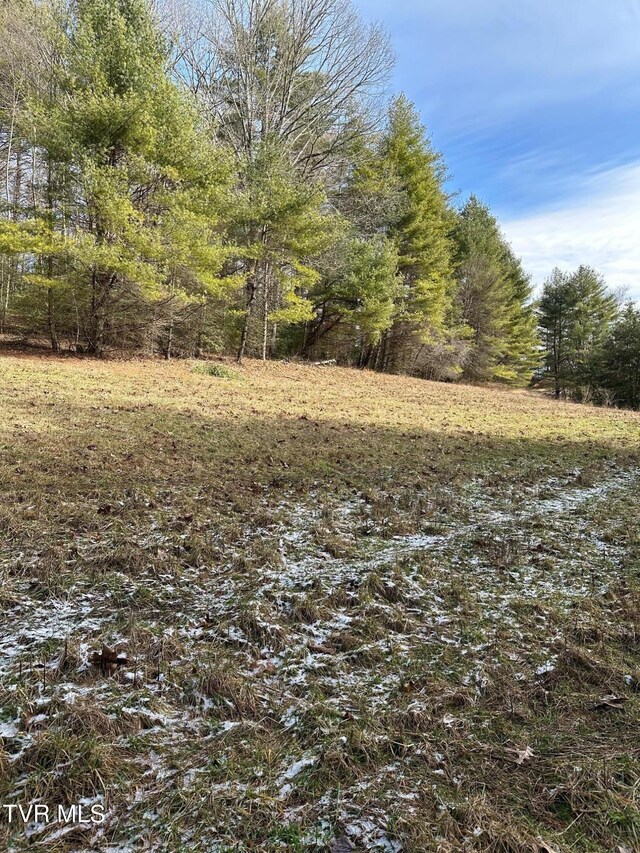 TBD00 Laurelwood Dr, Mountain City, TN 37683 - photo 13