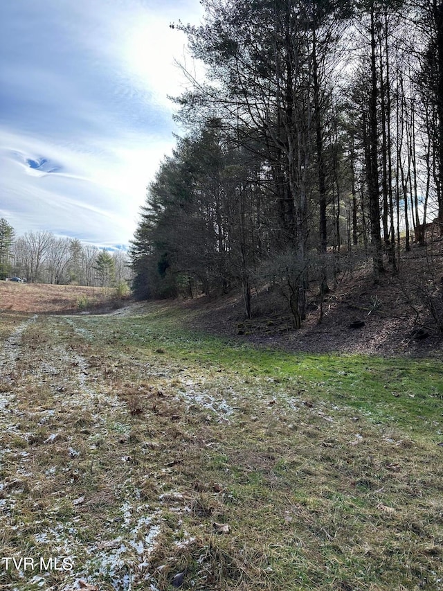 TBD00 Laurelwood Dr, Mountain City, TN 37683 - photo 14