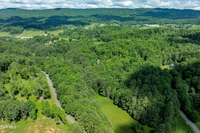 TBD00 Laurelwood Dr, Mountain City, TN 37683 - photo 18