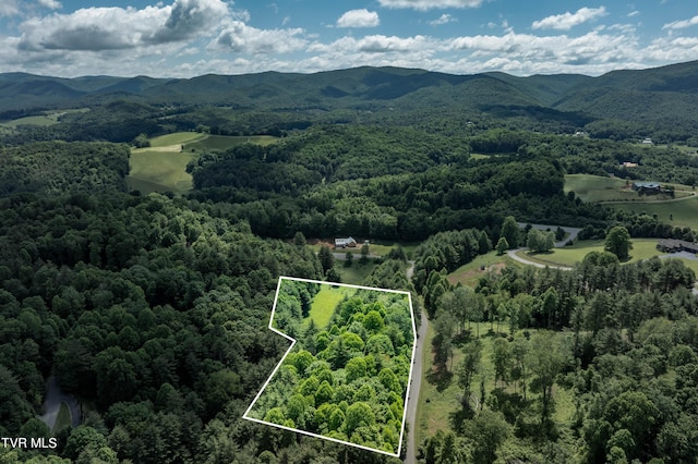 TBD00 Laurelwood Dr, Mountain City, TN 37683 - photo 19